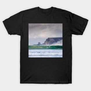 Spindrift Light / Whiten Head T-Shirt